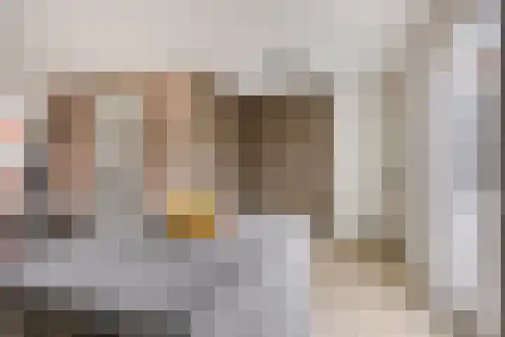 De Dorsvlegel 17 Made thumbnail 19