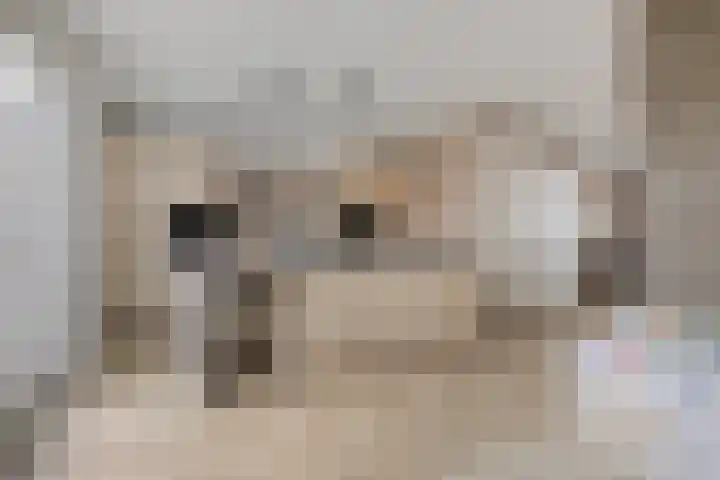 De Dorsvlegel 17 Made thumbnail 21