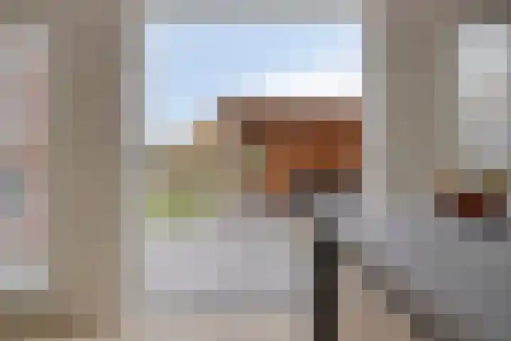 De Dorsvlegel 17 Made thumbnail 23