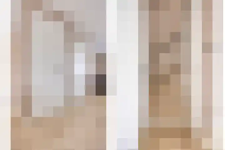 De Dorsvlegel 17 Made thumbnail 28