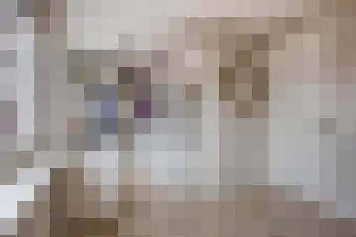 De Dorsvlegel 17 Made thumbnail 31