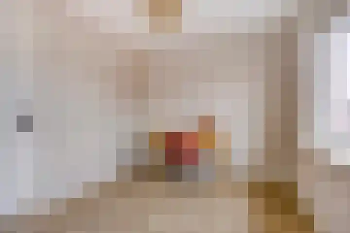 De Dorsvlegel 17 Made thumbnail 33