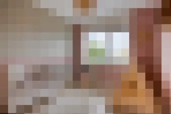 De Dorsvlegel 17 Made thumbnail 34