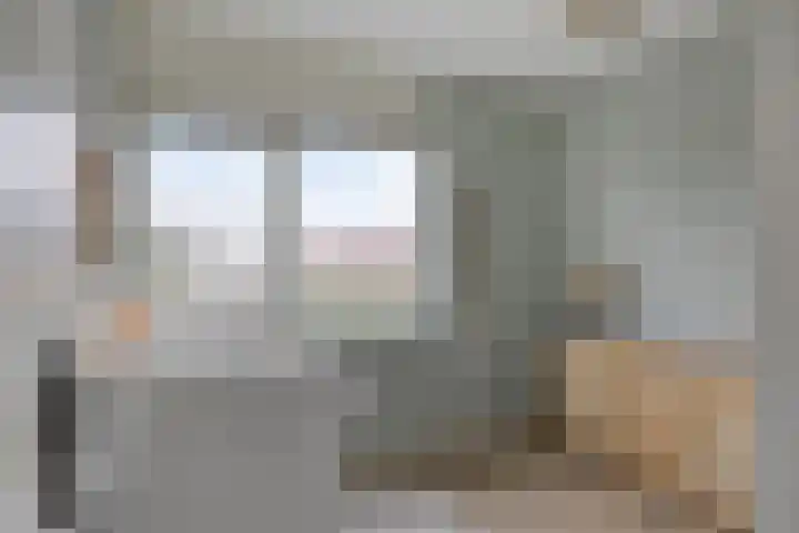 De Dorsvlegel 17 Made thumbnail 36