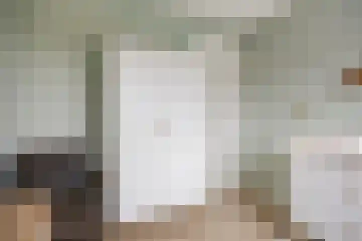 De Dorsvlegel 17 Made thumbnail 37