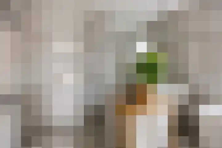 De Dorsvlegel 17 Made thumbnail 39