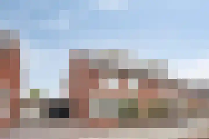 De Dorsvlegel 17 Made thumbnail 4