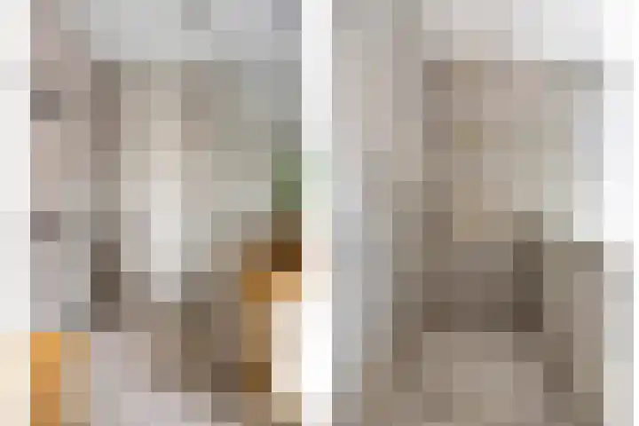 De Dorsvlegel 17 Made thumbnail 40