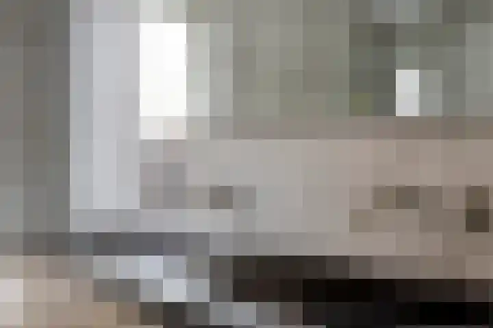 De Dorsvlegel 17 Made thumbnail 42