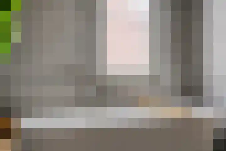 De Dorsvlegel 17 Made thumbnail 43