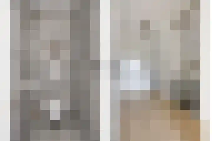 De Dorsvlegel 17 Made thumbnail 44