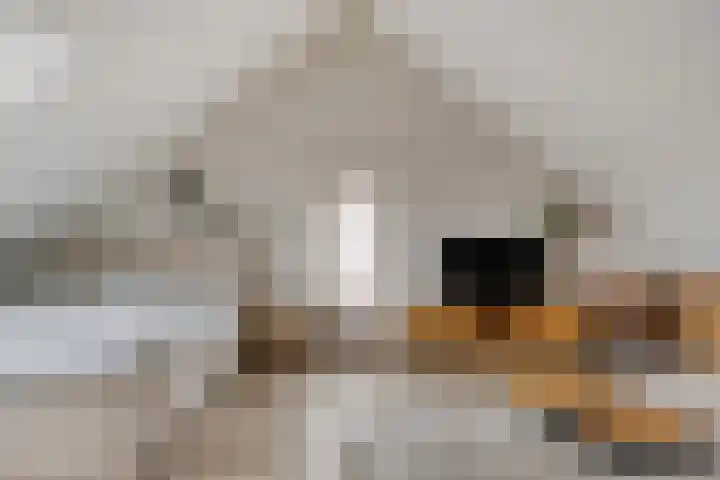 De Dorsvlegel 17 Made thumbnail 46
