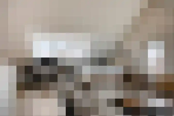 De Dorsvlegel 17 Made thumbnail 47