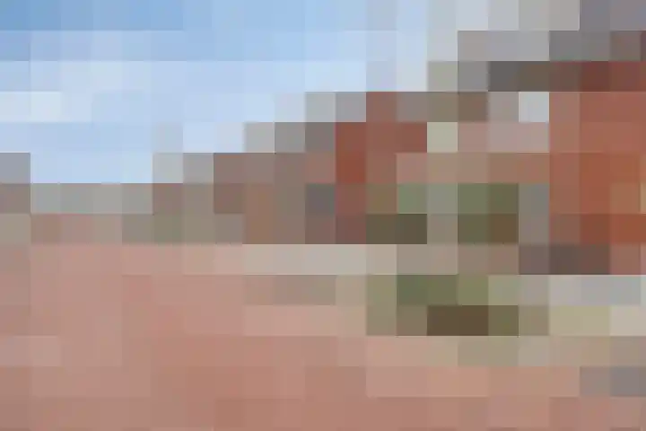 De Dorsvlegel 17 Made thumbnail 5