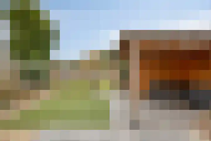 De Dorsvlegel 17 Made thumbnail 51