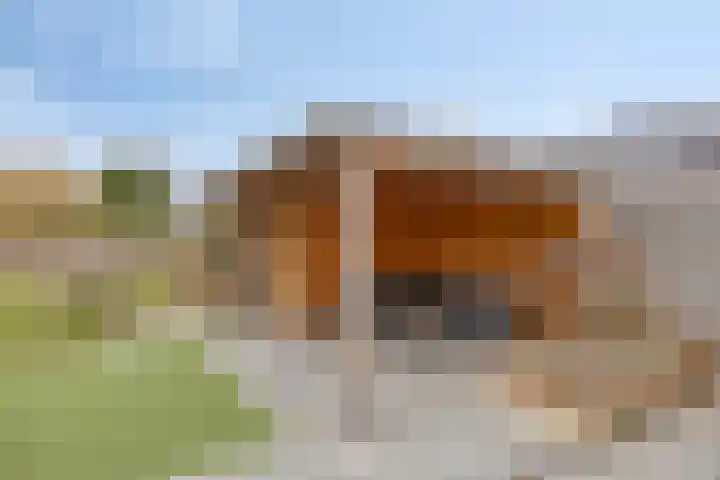 De Dorsvlegel 17 Made thumbnail 52