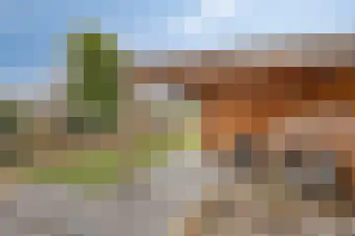 De Dorsvlegel 17 Made thumbnail 53