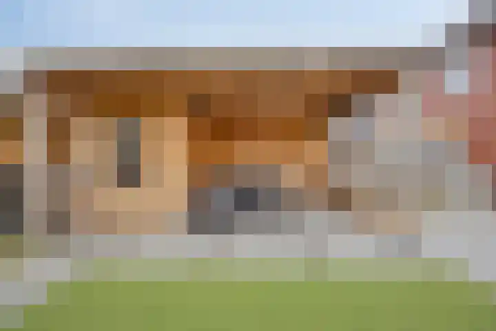 De Dorsvlegel 17 Made thumbnail 54