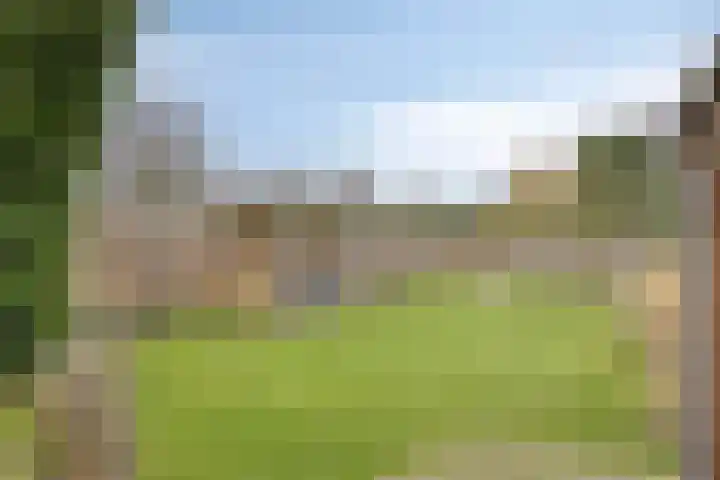 De Dorsvlegel 17 Made thumbnail 55