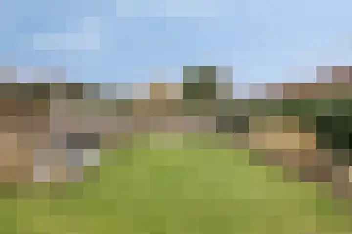 De Dorsvlegel 17 Made thumbnail 56