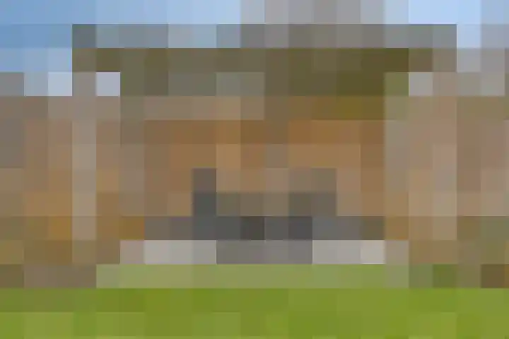 De Dorsvlegel 17 Made thumbnail 58