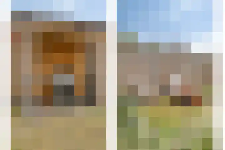 De Dorsvlegel 17 Made thumbnail 59