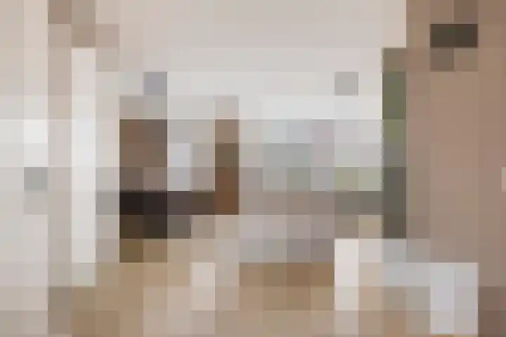 De Dorsvlegel 17 Made thumbnail 6
