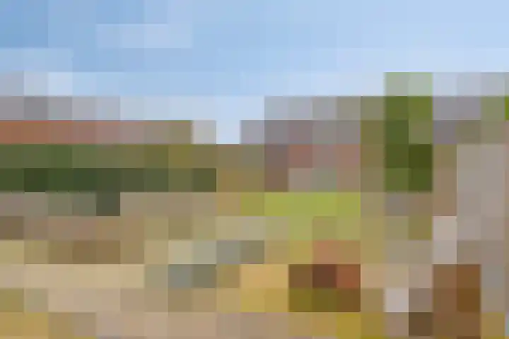 De Dorsvlegel 17 Made thumbnail 60