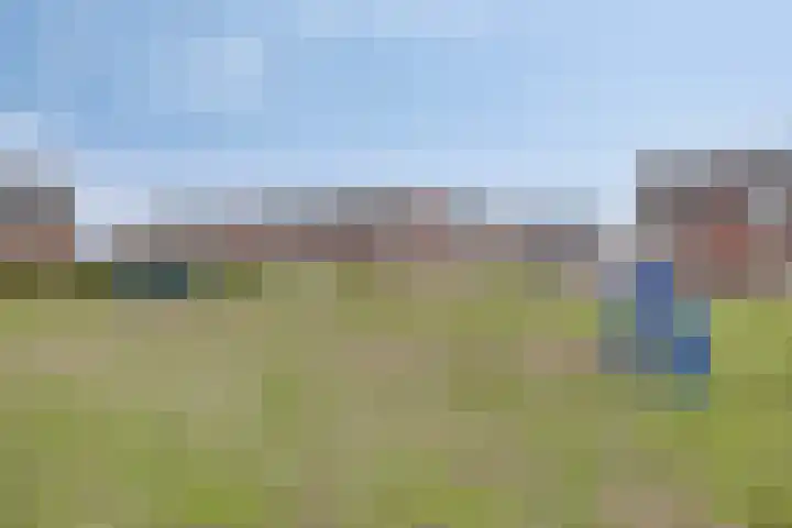 De Dorsvlegel 17 Made thumbnail 61
