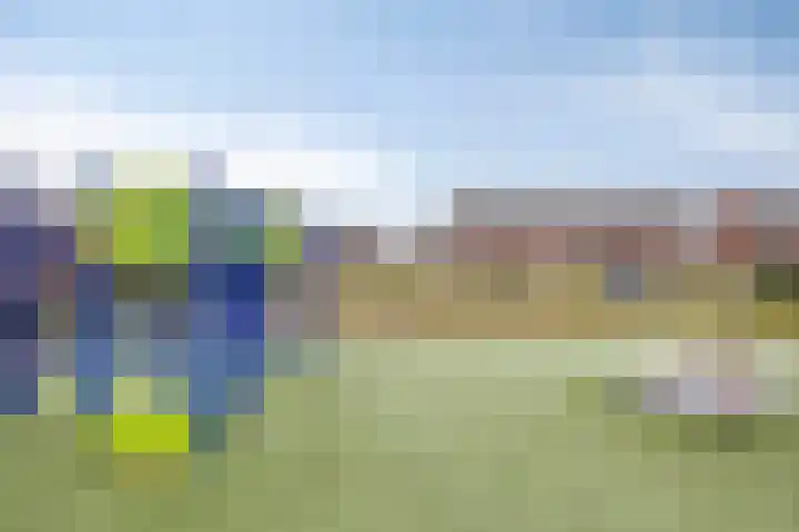 De Dorsvlegel 17 Made thumbnail 62