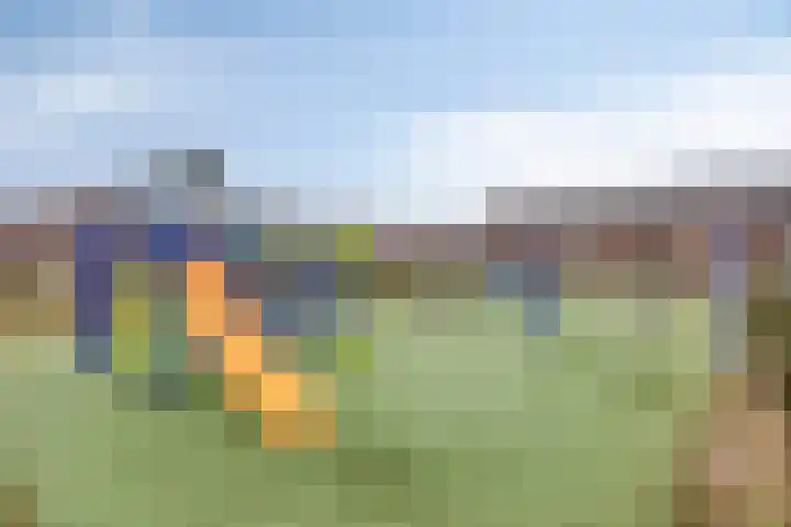 De Dorsvlegel 17 Made thumbnail 63