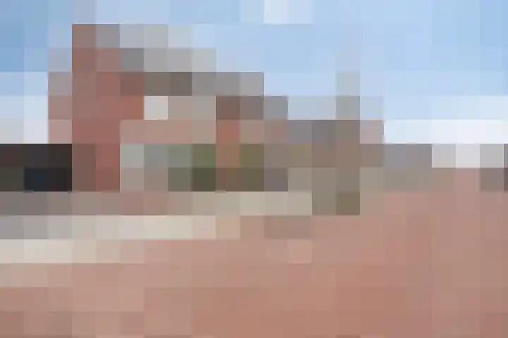 De Dorsvlegel 17 Made thumbnail 64