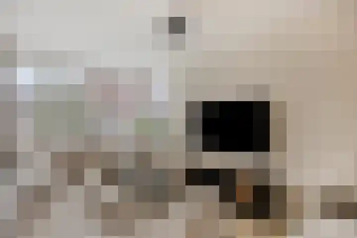 De Dorsvlegel 17 Made thumbnail 7