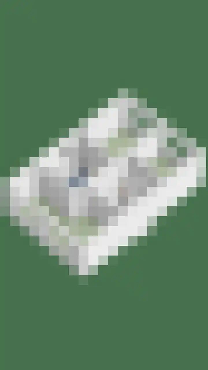 De Dorsvlegel 17 Made thumbnail 71