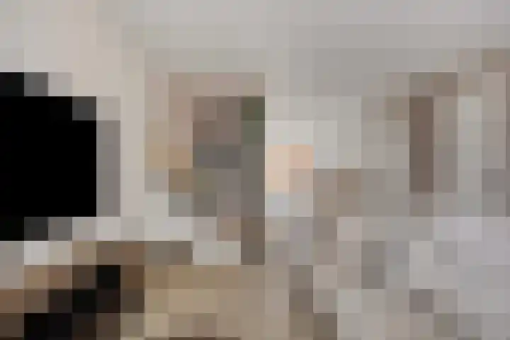 De Dorsvlegel 17 Made thumbnail 8