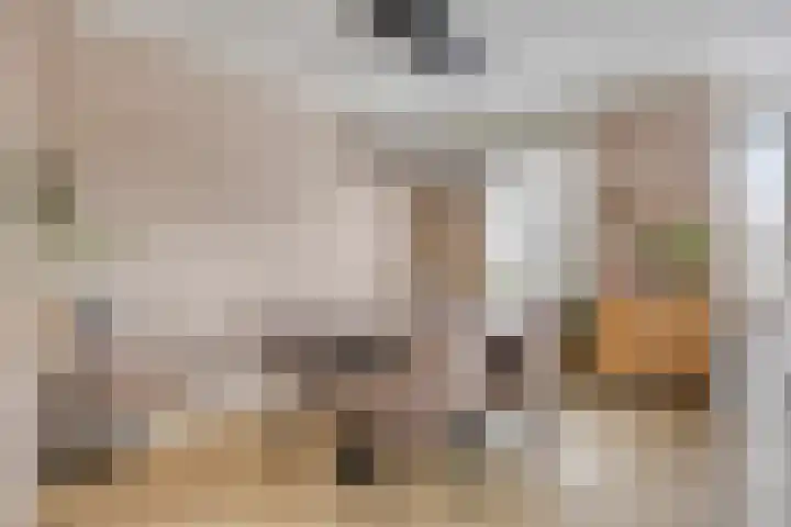 De Dorsvlegel 17 Made thumbnail 9