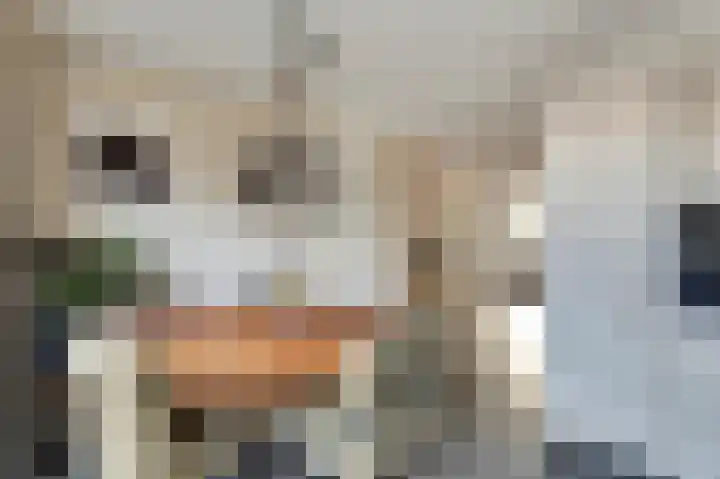 De Dorsvlegel 23 Made thumbnail 11