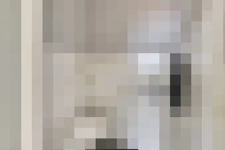De Dorsvlegel 23 Made thumbnail 13