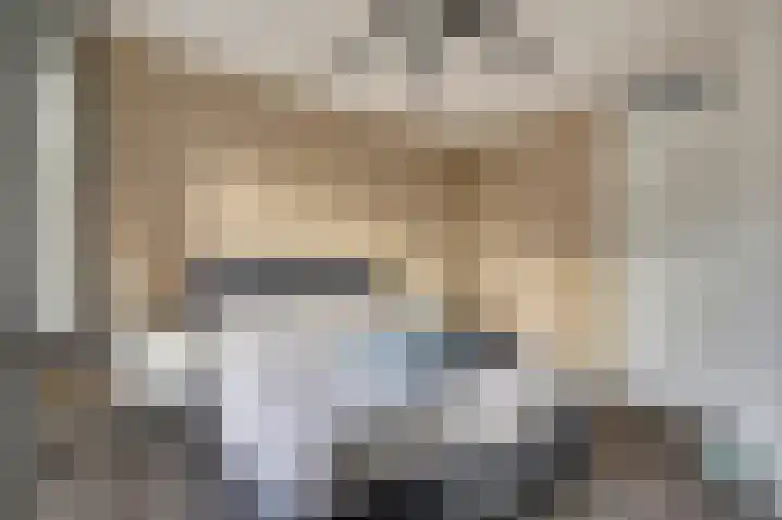 De Dorsvlegel 23 Made thumbnail 15
