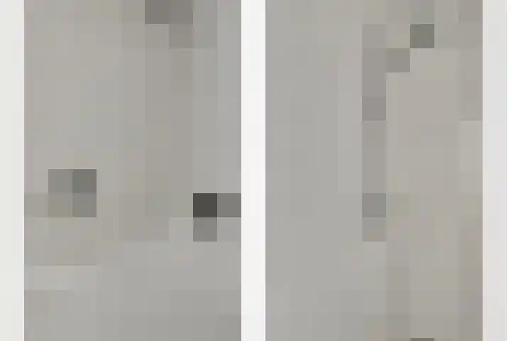De Dorsvlegel 23 Made thumbnail 22