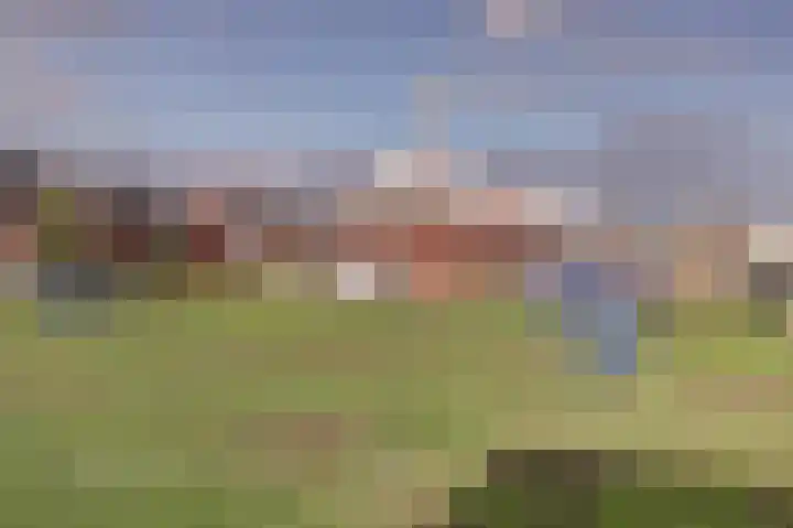 De Dorsvlegel 23 Made thumbnail 30