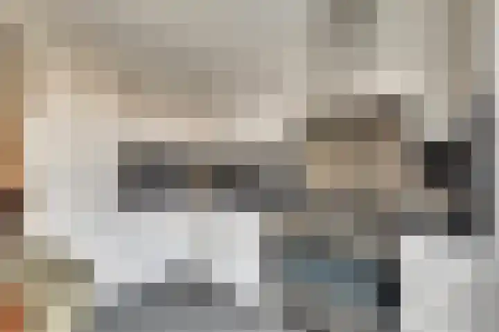 De Dorsvlegel 23 Made thumbnail 4