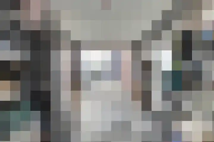 De Dorsvlegel 23 Made thumbnail 5