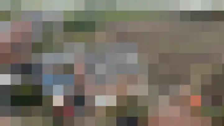 De Dorsvlegel 23 Made thumbnail 7