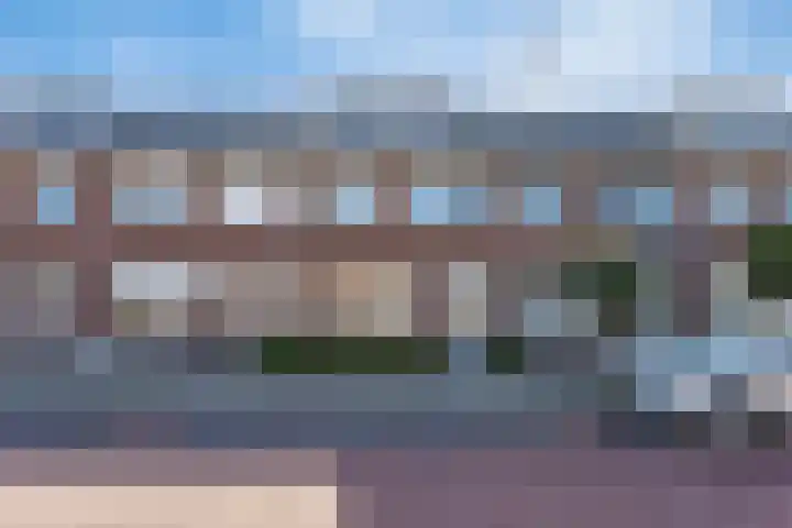 De Dorsvlegel 6 Made