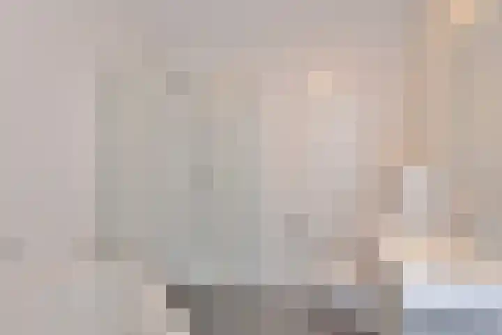 De Dorsvlegel 6 Made thumbnail 14