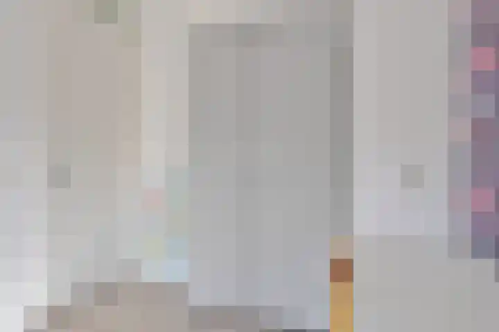 De Dorsvlegel 6 Made thumbnail 17