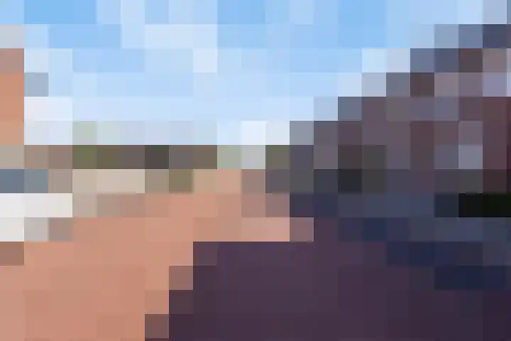 De Dorsvlegel 6 Made thumbnail 5