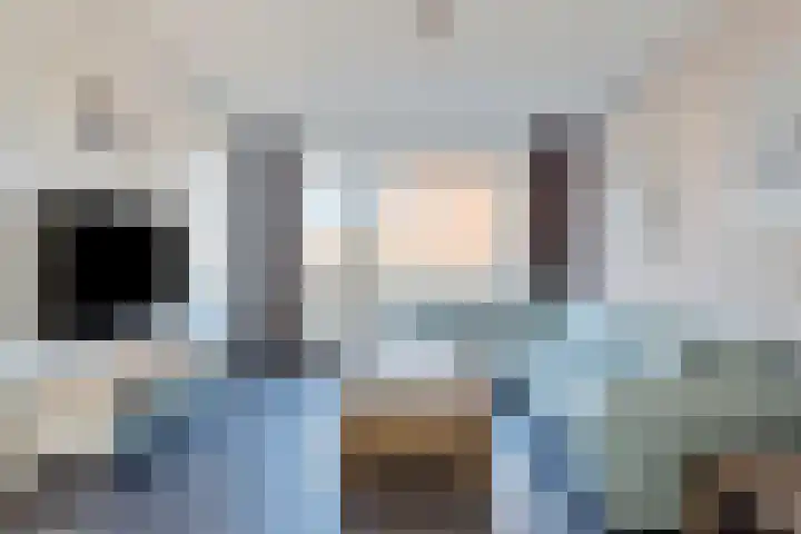 De Dorsvlegel 6 Made thumbnail 8