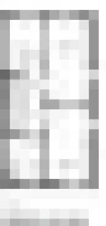 De Dorsvlegel 65 Made thumbnail 11